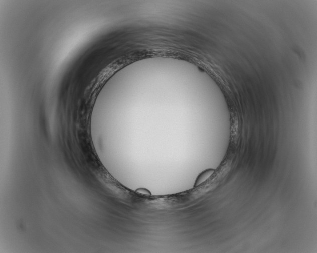 X0000113560430200909181025