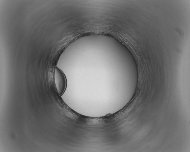 X0000113560432200909181025