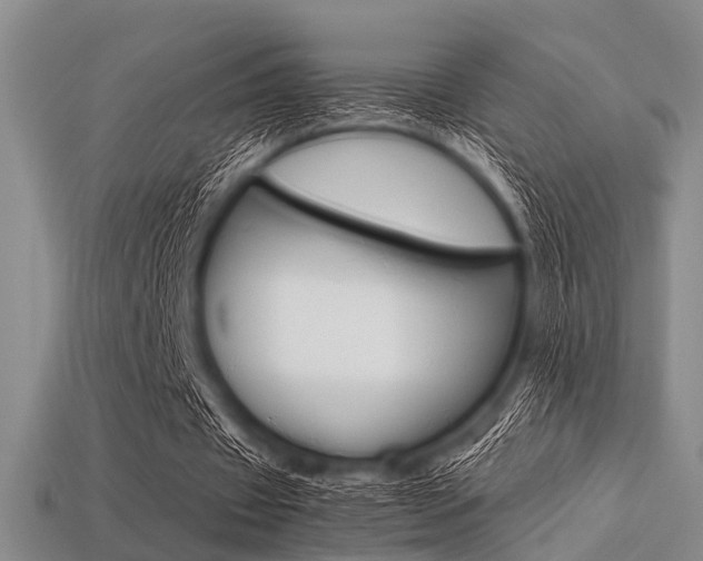 X0000113560433200909181024