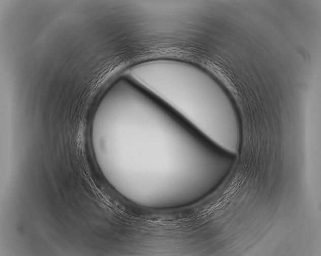 X0000113560434200909181024