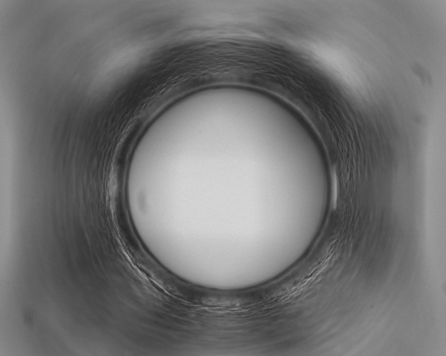 X0000113560435200909181024