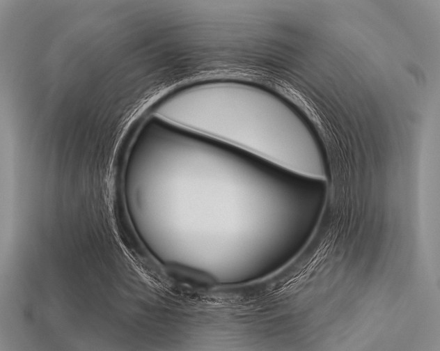 X0000113560436200909181024