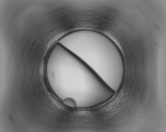 X0000113560437200909181024