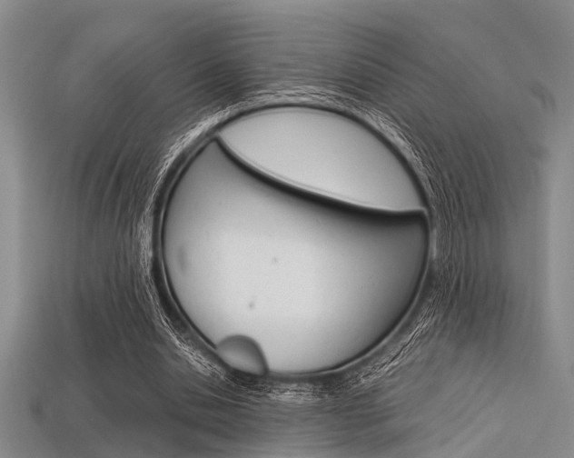 X0000113560438200909181024