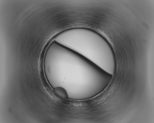 X0000113560439200909181024