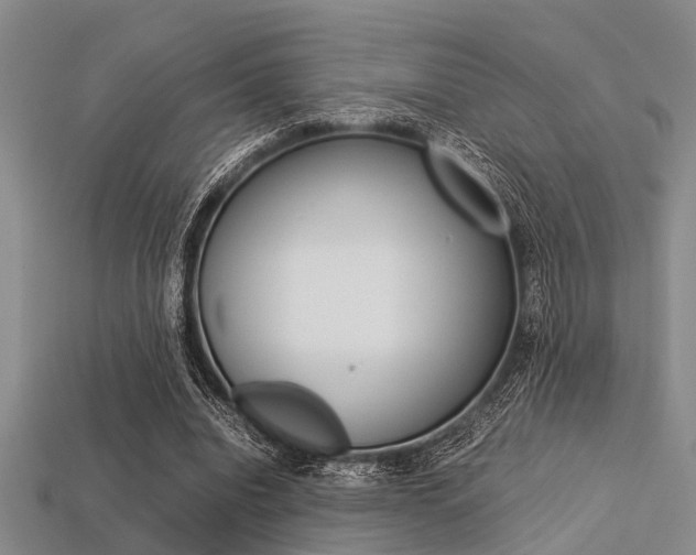 X0000113560440200909181024