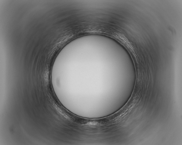 X0000113560441200909181024