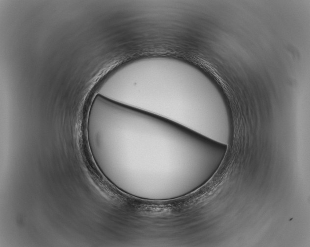 X0000113560443200909181024