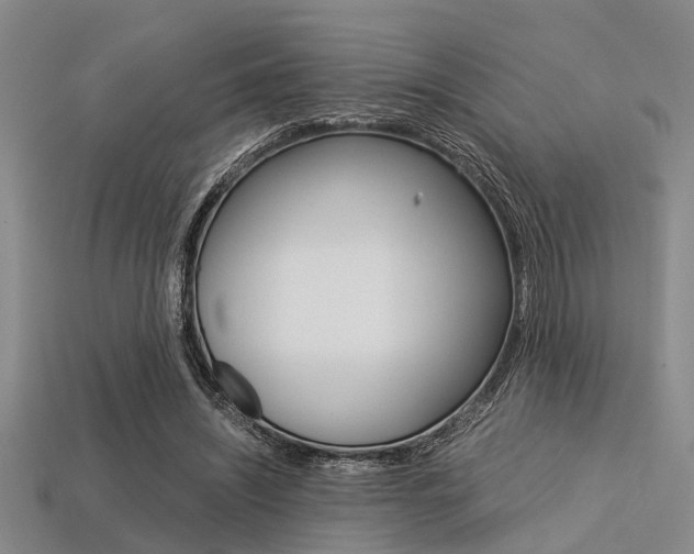 X0000113560444200909181024