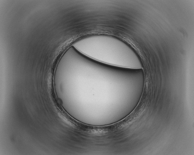 X0000113560445200909181024