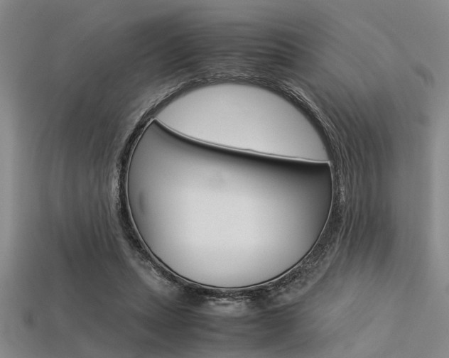 X0000113560447200909181024