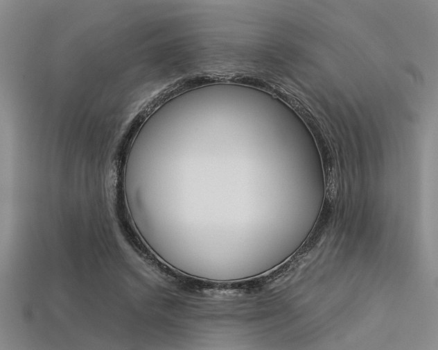 X0000113560448200909181024