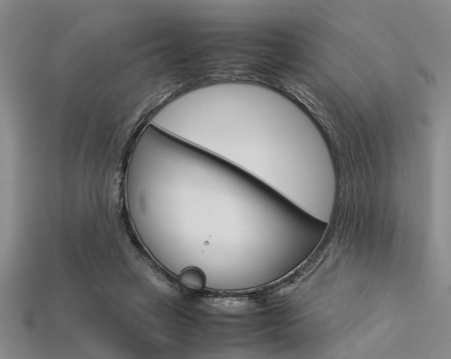 X0000113560449200909181024