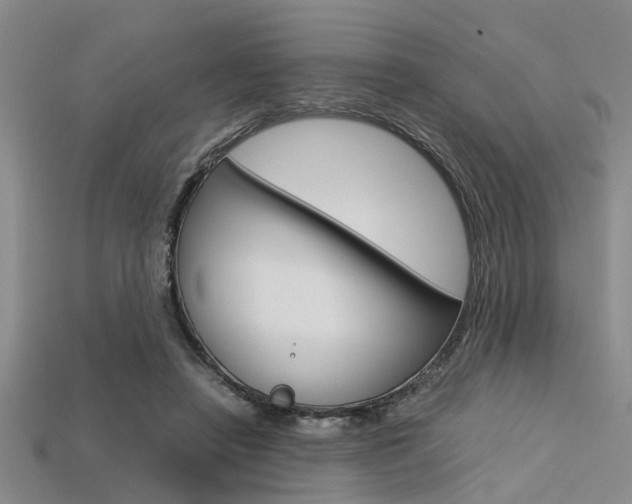 X0000113560450200909181024