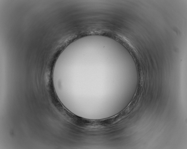 X0000113560451200909181024