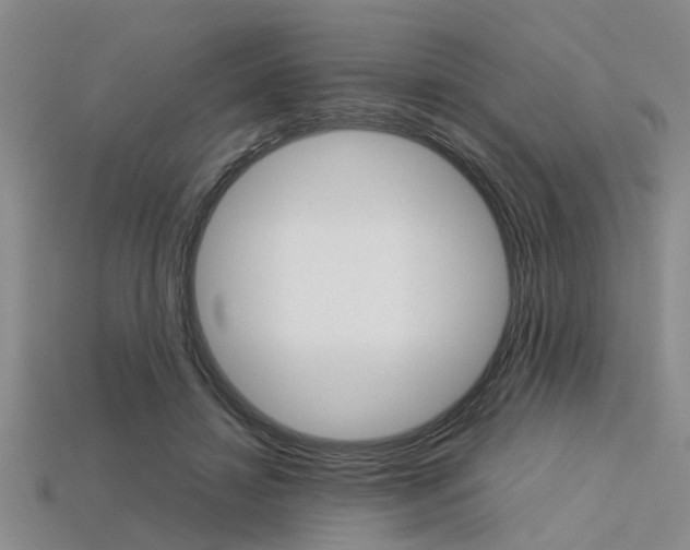 X0000113560452200909181024