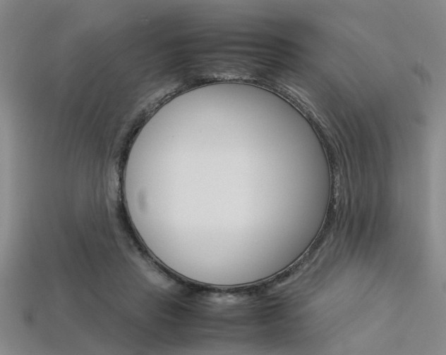 X0000113560453200909181024