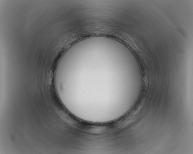 X0000113560458200909181024