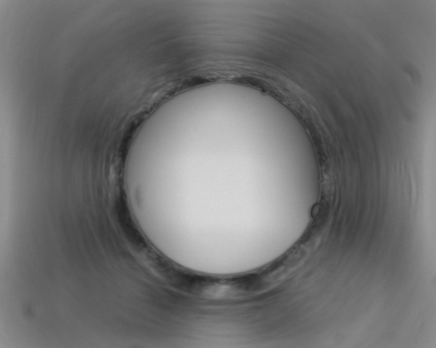 X0000113560460200909181024