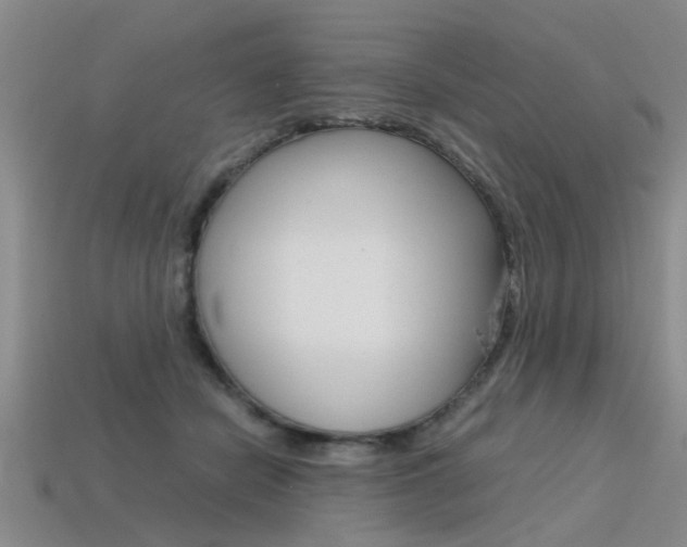 X0000113560462200909181024