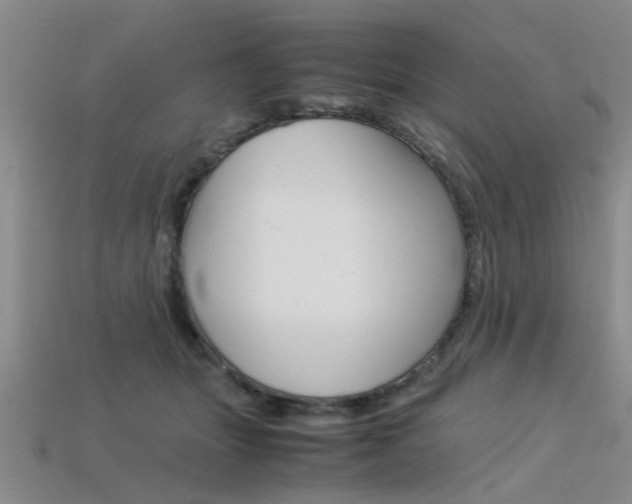 X0000113560463200909181024