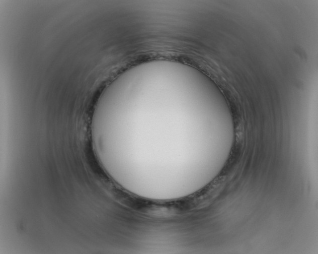 X0000113560464200909181024