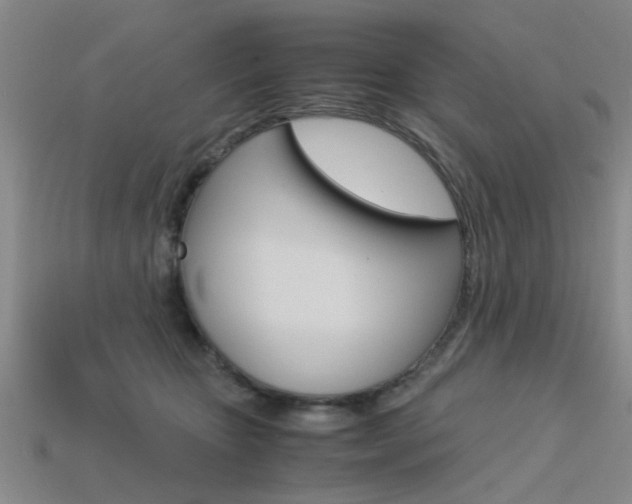 X0000113560467200909181024