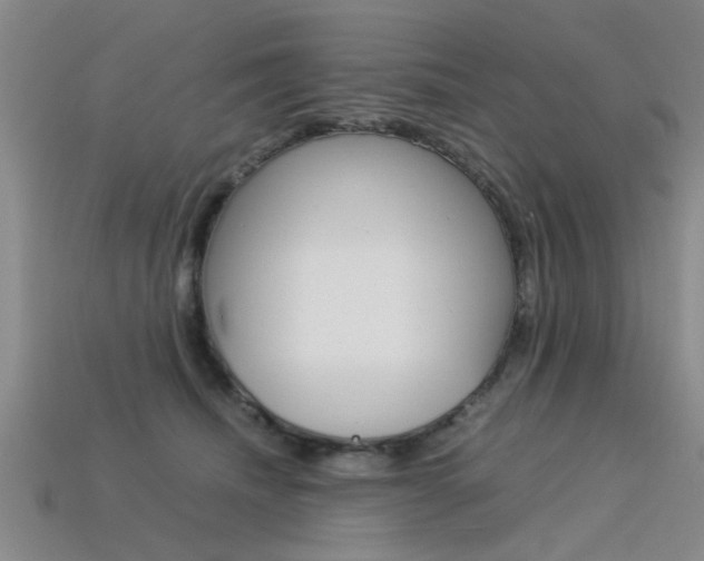 X0000113560468200909181024
