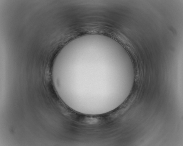 X0000113560469200909181024
