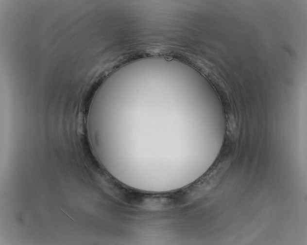 X0000113560470200909181024