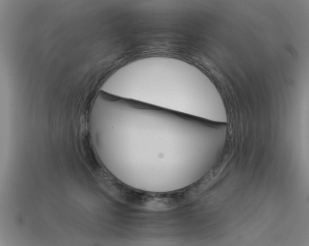 X0000113560471200909181024