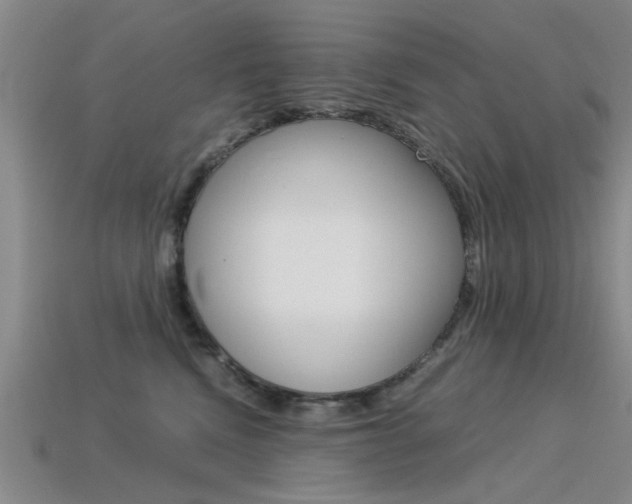 X0000113560472200909181024