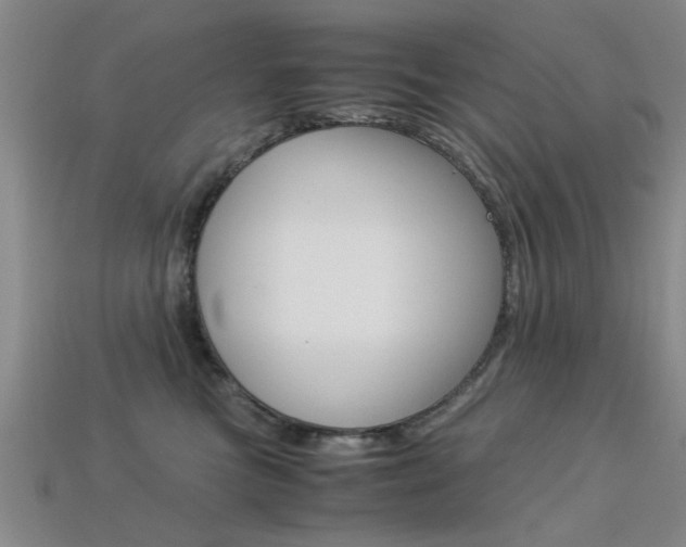 X0000113560473200909181025