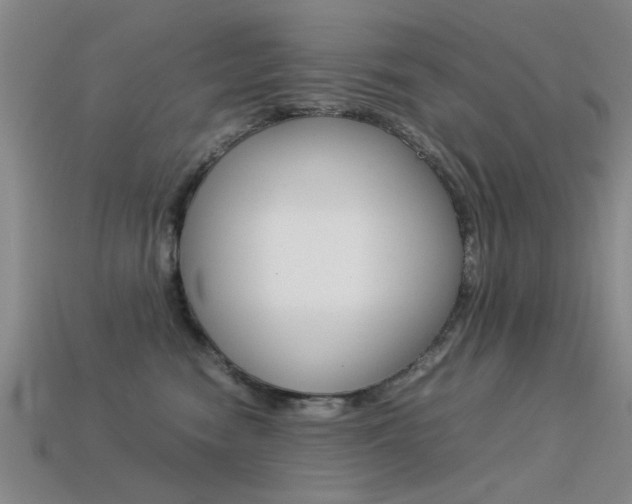 X0000113560474200909181025