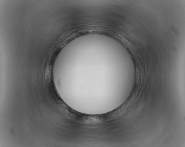 X0000113560475200909181025