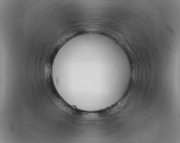 X0000113560476200909181025