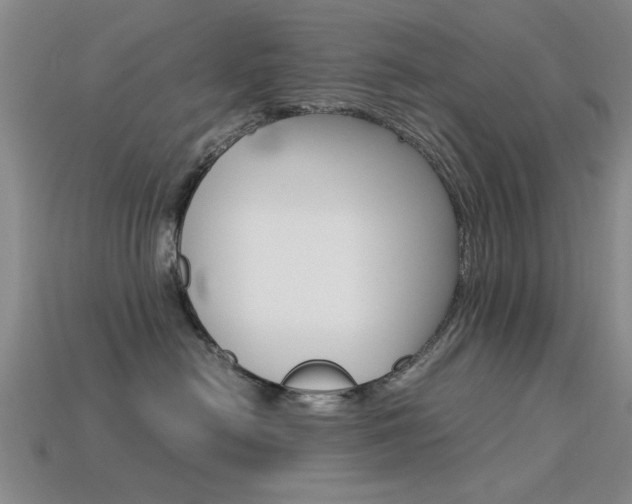 X0000113560478200909181025