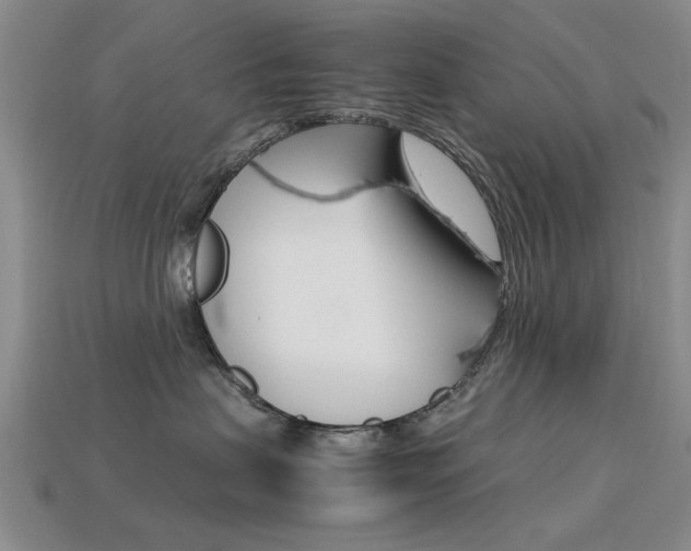 X0000113560479200909181025