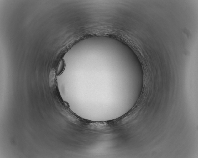 X0000113560480200909181025