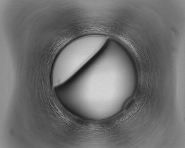 X0000113560481200909181024