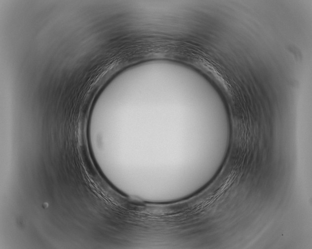 X0000113560482200909181024