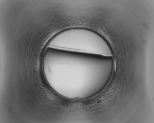 X0000113560483200909181024