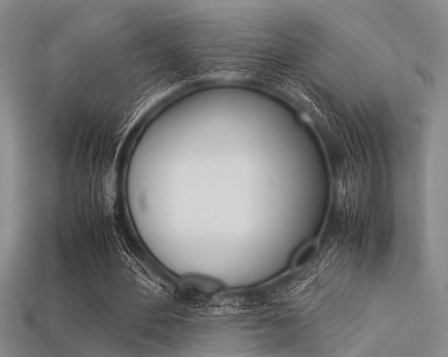 X0000113560484200909181024