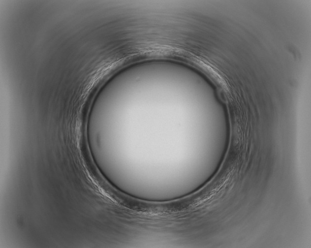 X0000113560485200909181024