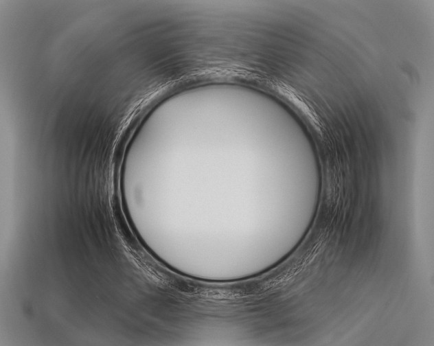 X0000113560486200909181024