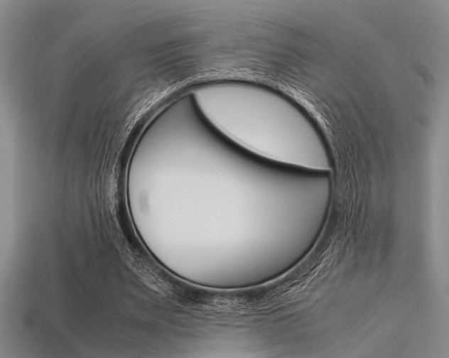 X0000113560487200909181024