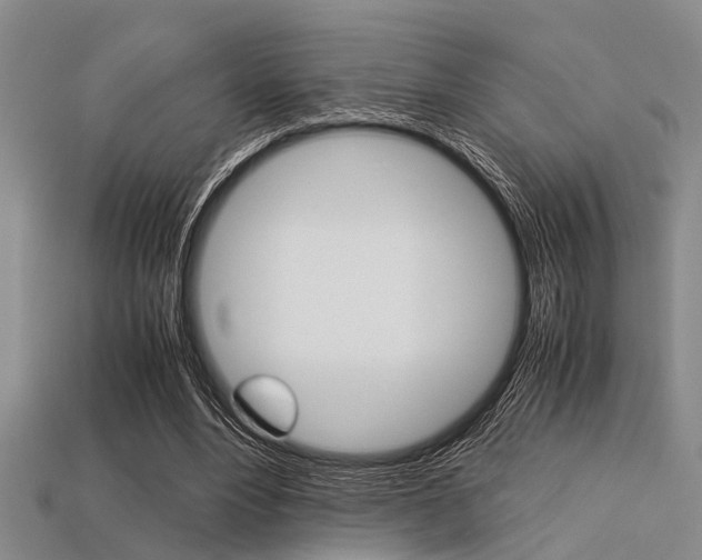 X0000113560488200909181024