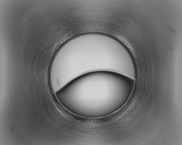 X0000113560489200909181024