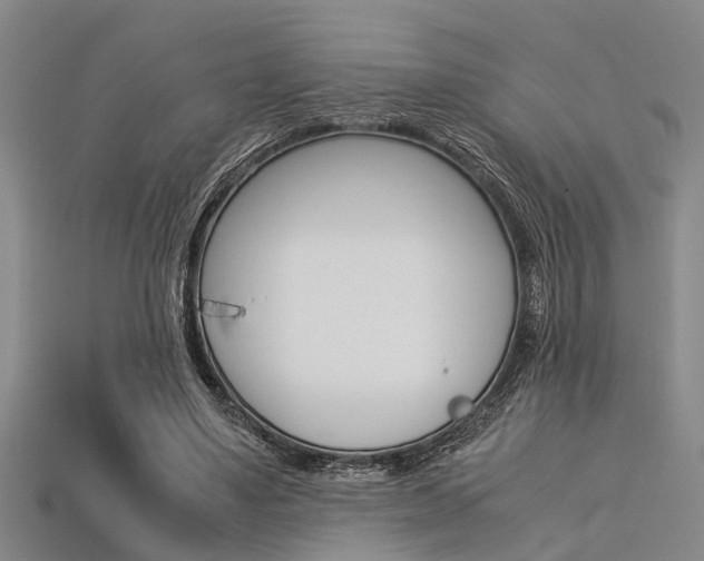 X0000113560491200909181024