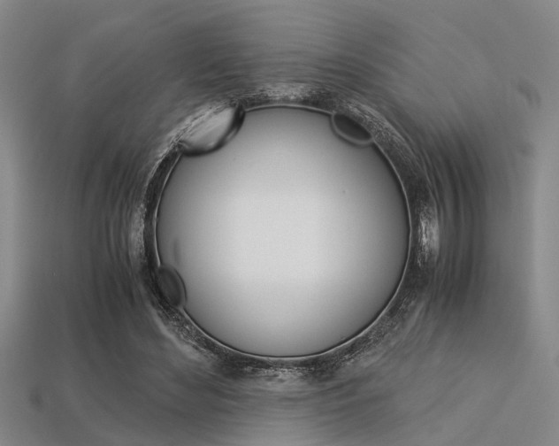 X0000113560492200909181024
